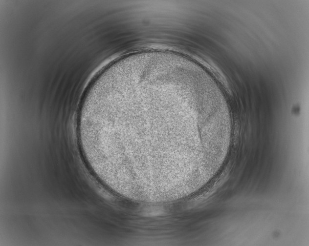 X0000116350798201001131105
