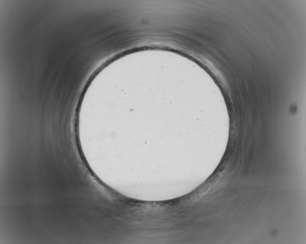 X0000116350799201001131105
