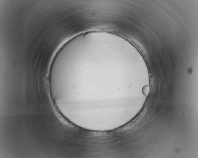 X0000116350800201001131105