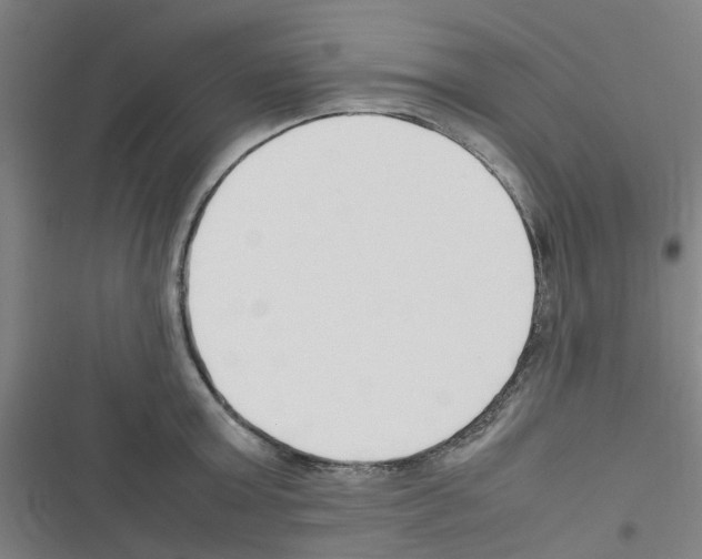 X0000116350803201001131105