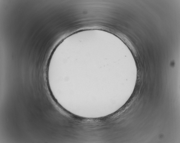X0000116350805201001131105