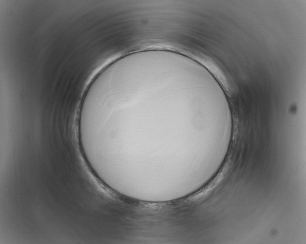 X0000116350806201001131105