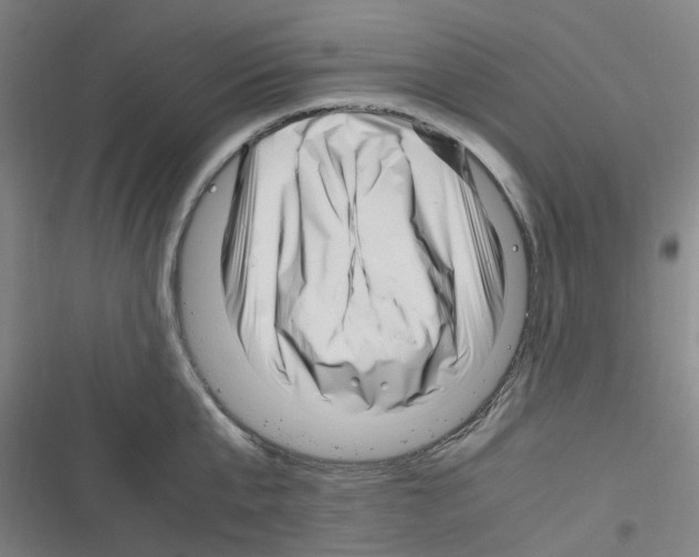 X0000116350807201001131105