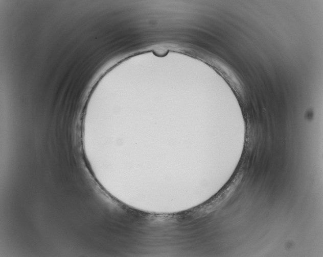 X0000116350808201001131105