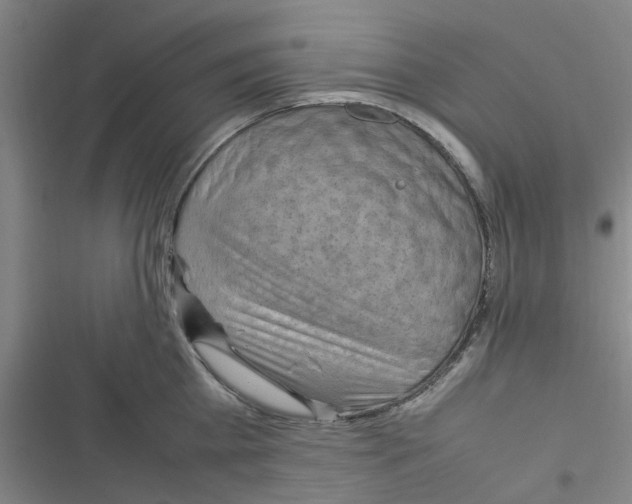 X0000116350809201001131105