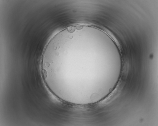 X0000116350810201001131105