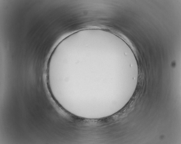 X0000116350811201001131105