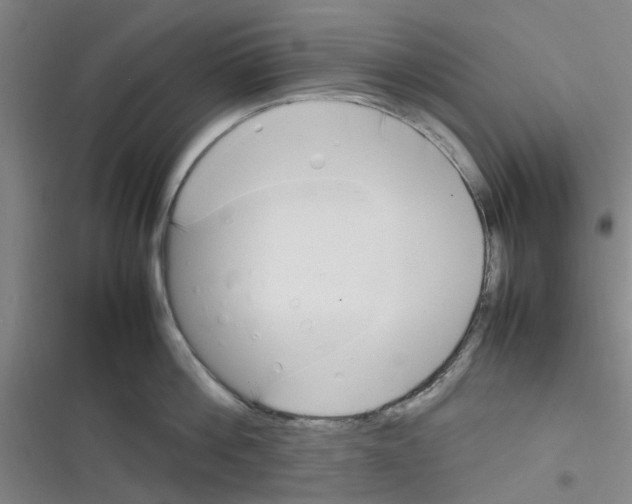 X0000116350812201001131105