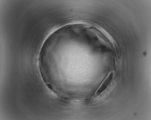 X0000116350813201001131105