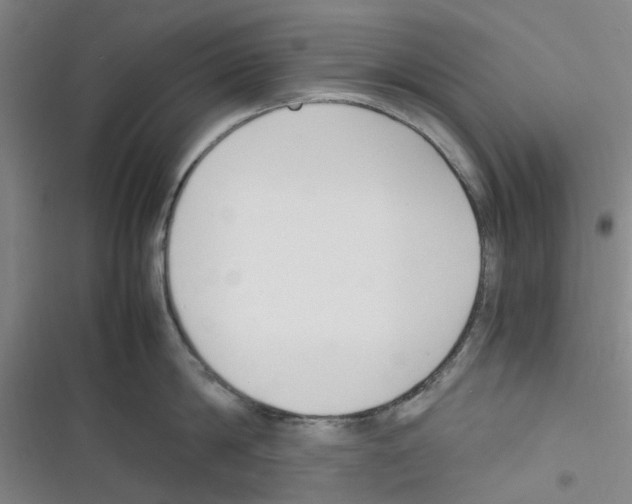 X0000116350814201001131105