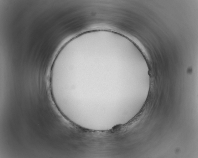 X0000116350815201001131105