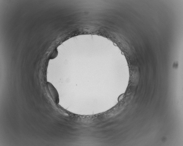 X0000116350817201001131104