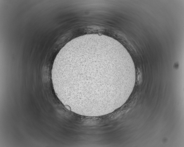 X0000116350819201001131104