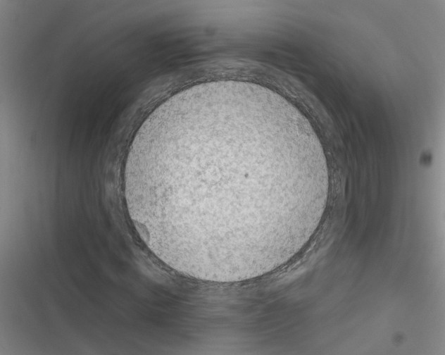 X0000116350820201001131104