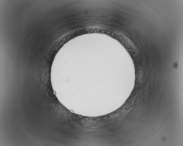 X0000116350821201001131104
