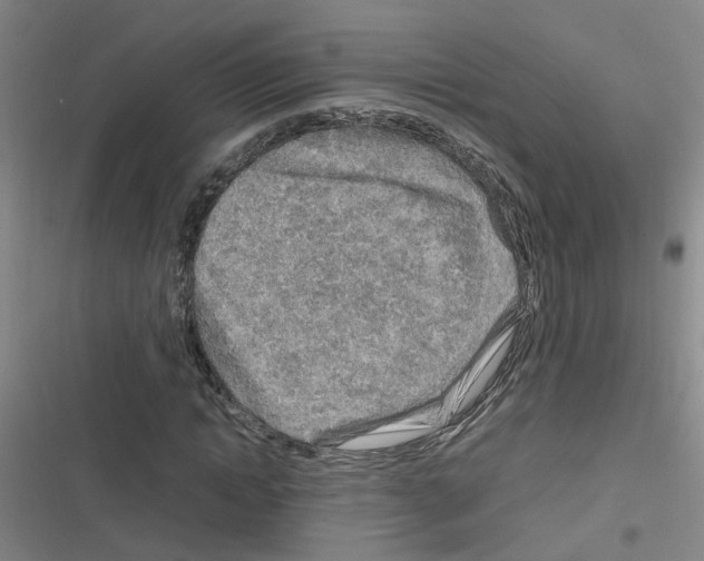 X0000116350822201001131104