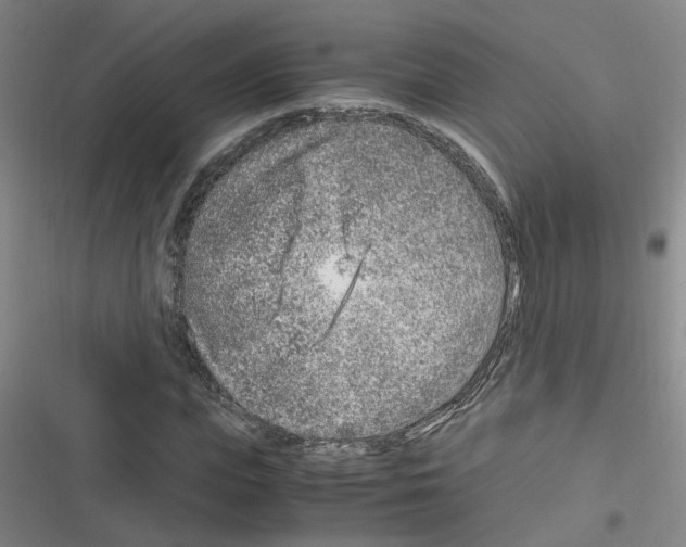 X0000116350823201001131104