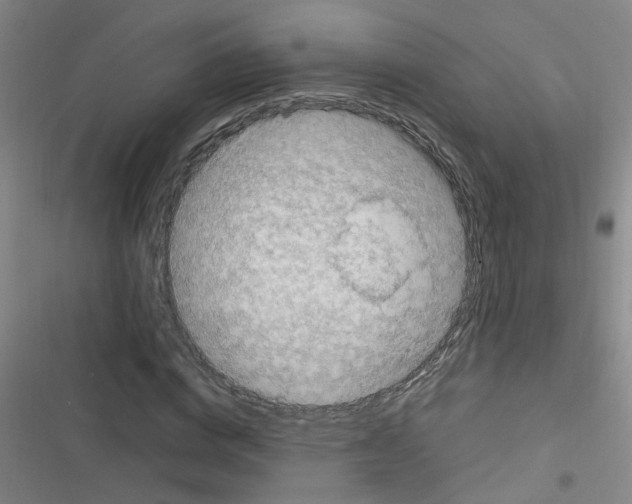 X0000116350824201001131104