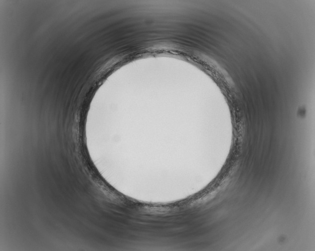 X0000116350825201001131104