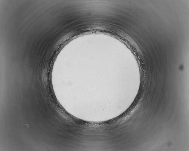 X0000116350826201001131104