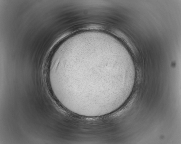 X0000116350827201001131104