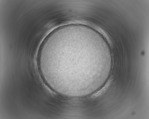 X0000116350828201001131104