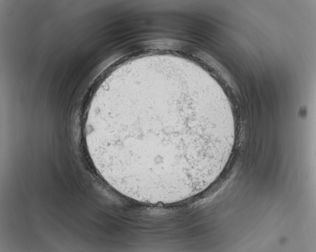 X0000116350829201001131104