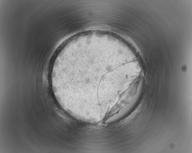 X0000116350830201001131104