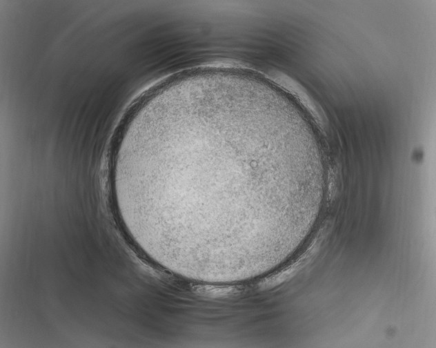 X0000116350831201001131104