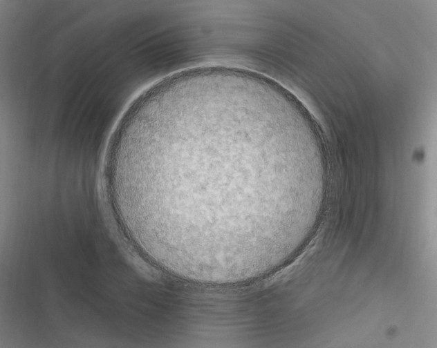 X0000116350832201001131104