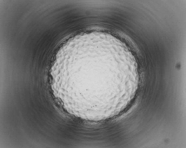 X0000116350833201001131104