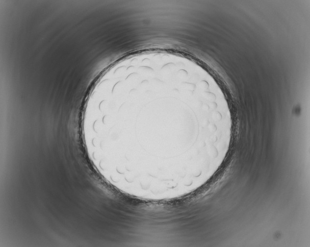 X0000116350834201001131104