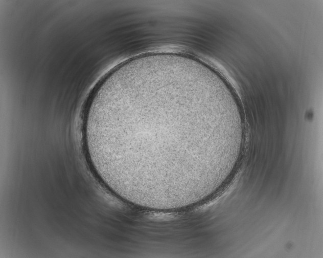 X0000116350835201001131104