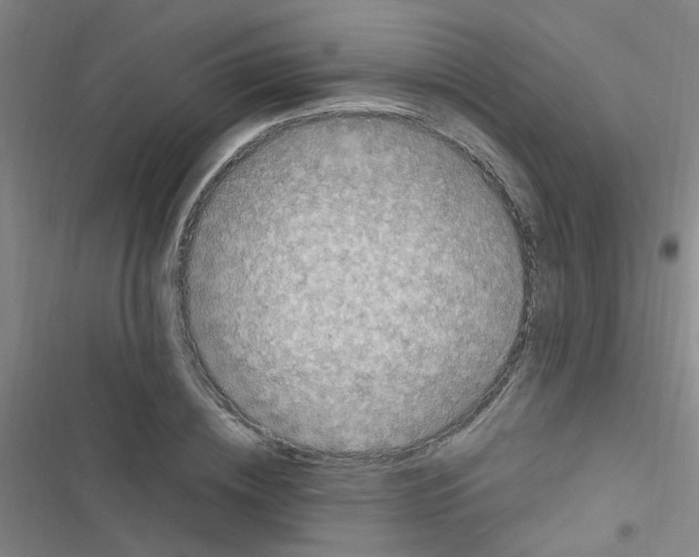 X0000116350836201001131104