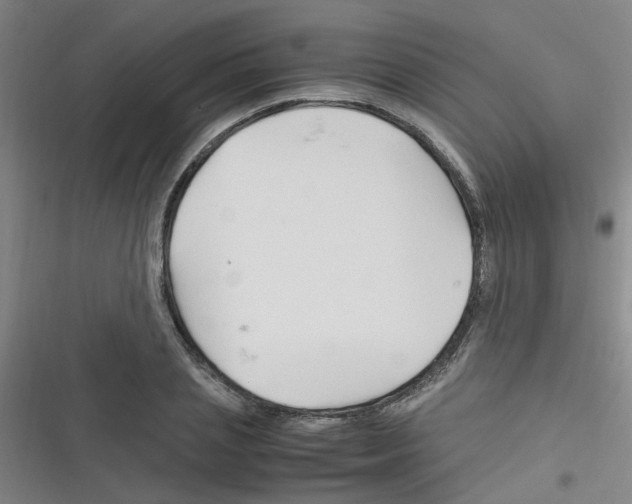 X0000116350837201001131104