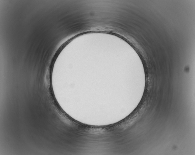 X0000116350838201001131104