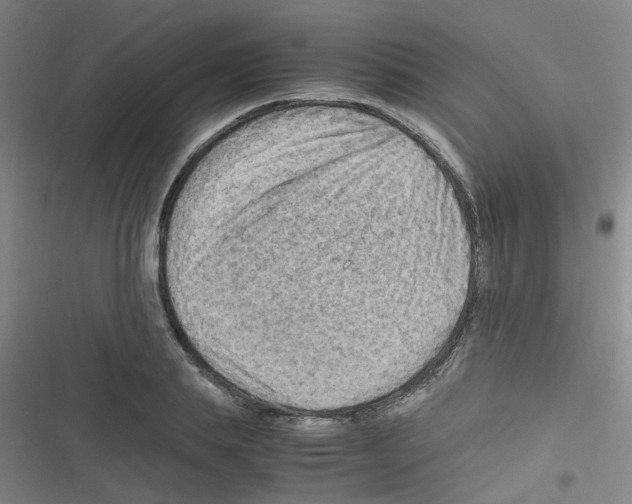 X0000116350839201001131104