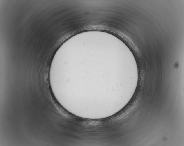 X0000116350841201001131104
