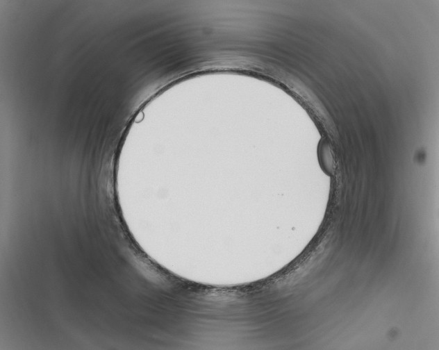 X0000116350842201001131104