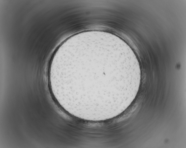 X0000116350843201001131104