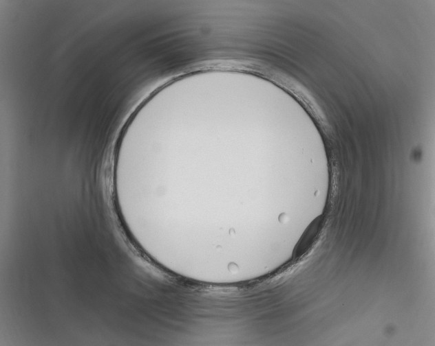 X0000116350844201001131104