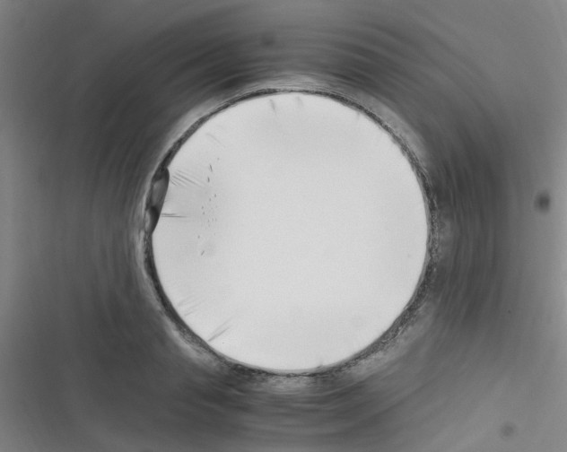 X0000116350845201001131104