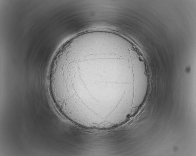 X0000116350848201001131104