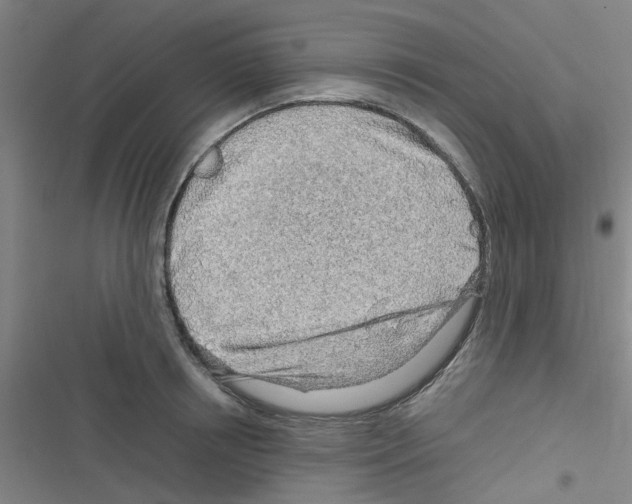 X0000116350850201001131104