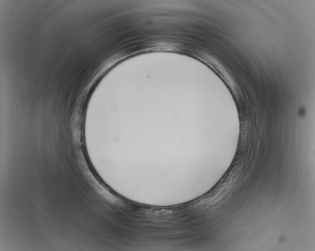 X0000116350851201001131105