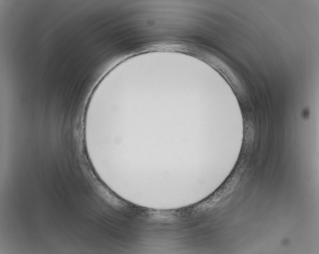 X0000116350852201001131105