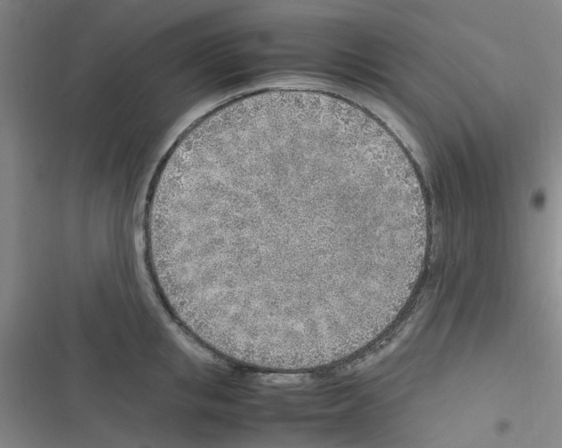 X0000116350853201001131105