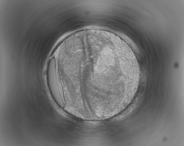 X0000116350854201001131105