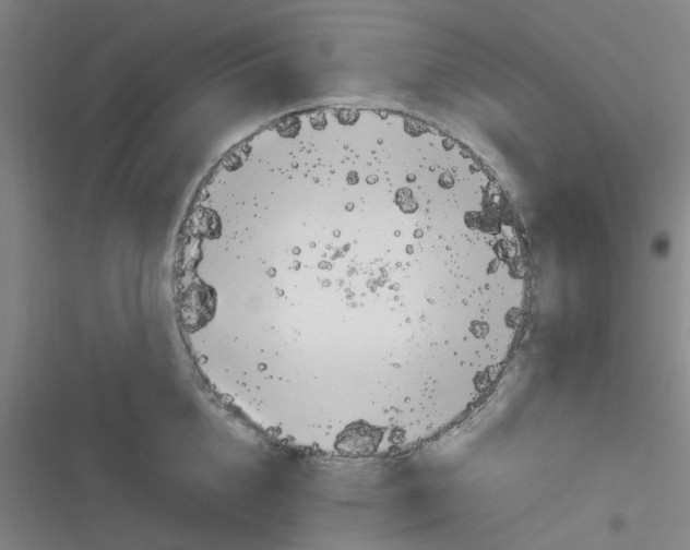 X0000116350856201001131105
