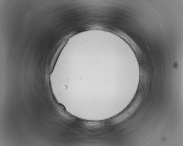 X0000116350857201001131105